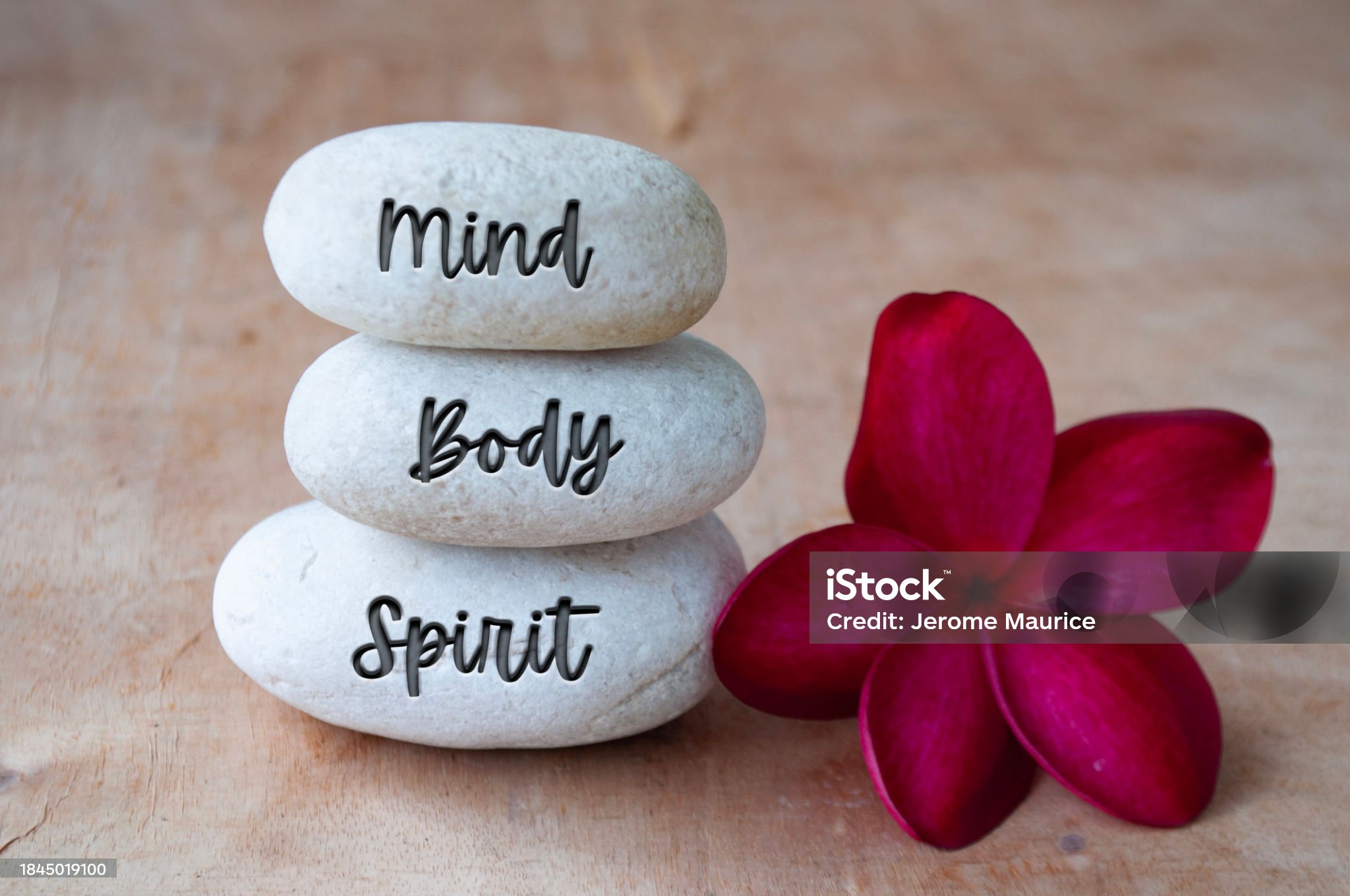 Recovery and Wellness